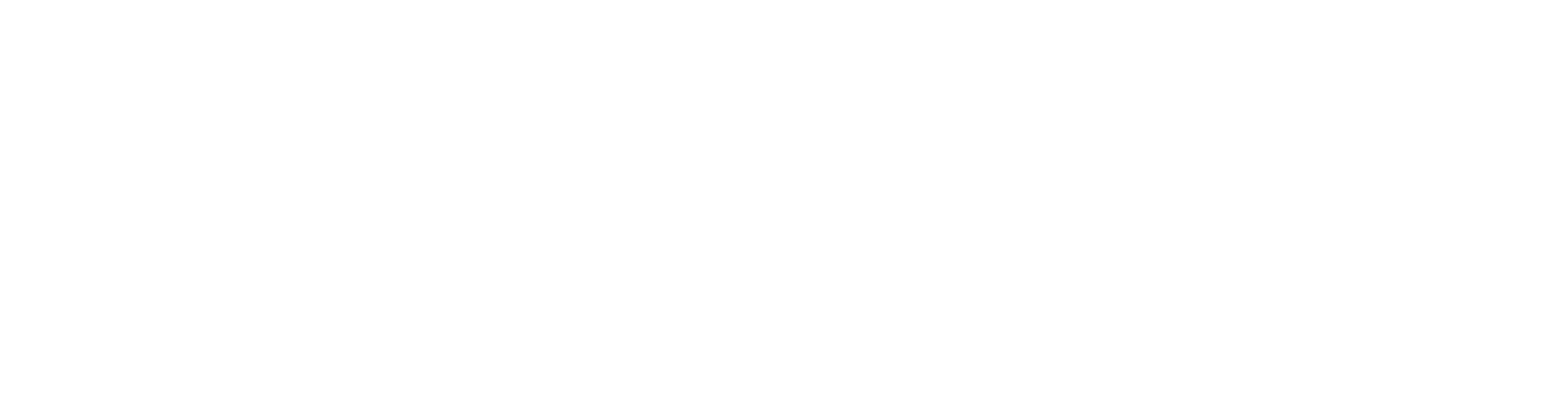IncSight